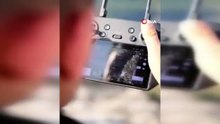 Muğla’da yaban hayatına \"dron\" kalkanı