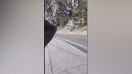 Call of Duty Co‑Creator Vince Zampella Dies in Deadly Ferrari Accident