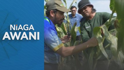 Indeks Pelopor Malaysia naik 3.6 peratus pada Oktober 2025 - DOSM