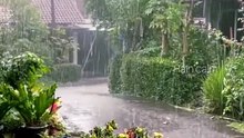 Rain calming