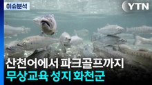 산천어에서 파크골프까지...무상교육 성지 화천군 / YTN