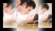 A Touch of Fate Full Movie