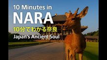 10 Minutes to Discover NARA | Japan