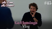 Go Flamingo Vlog #45