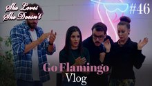 Go Flamingo Vlog #46