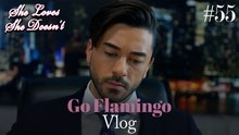 Go Flamingo Vlog #55