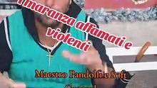 MAESTRO PANDOLFI CONTRO MARANZA AFFAMATI DI FOCACCIA