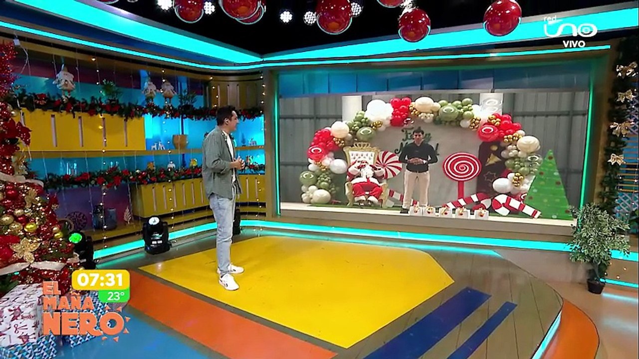 FESTEJOS DE NAVIDAD
