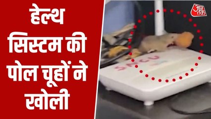 मध्यप्रदेश के सरकारी अस्पताल भगवान भरोसे, खुलेआम घूम रहे चूहे