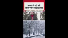 कश्मीर में बर्फबारी से सैलानियों की मौज; Video