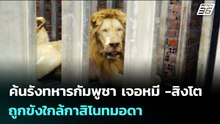 ค้นรังทหารกัมพูชา เจอหมี -สิงโต ถูกขังใกล้กาสิโนทมอดา | เข้มข่าวค่ำ | 23 ธ.ค. 68