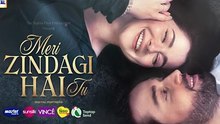 MERI ZINDAGI HAI TU Cast Reveel by K-Explain #merizindagihaitu #haniaaamir #bilalabbaskhan #kexplain