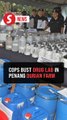 From durian orchard to drug factory: Police bust RM38mil meth lab in Teluk Bahang