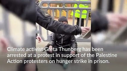 Greta Thunberg arrested at protest supporting Palestine Action hunger strikers