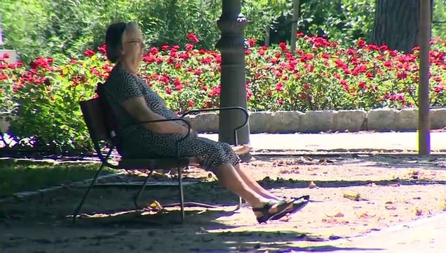 El Gobierno aprueba subir las pensiones contributivas y la prórroga de descuentos en transporte