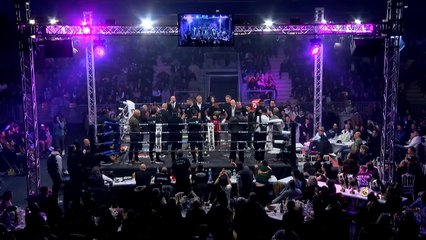 Ultimate Muay Thai / K1 Rules 8 - Championnats du Monde