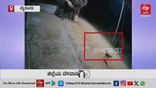 ಮನೆ ಮುಂದಿದ್ದ ಬೀದಿನಾಯಿಯನ್ನು ಶರವೇಗದಲ್ಲಿ ನುಗ್ಗಿ ಎಳೆದೊಯ್ದ ಚಿರತೆ: ವಿಡಿಯೋ