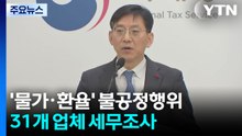 '물가·환율' 불공정행위 31개 업체 세무조사...탈루 혐의 1조 원 / YTN