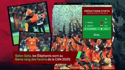Côte d'Ivoire - Les Éléphants visent le back-to-back