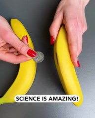When science meets bananas