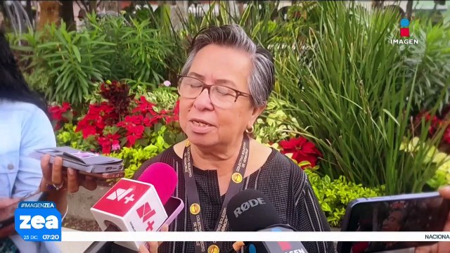 Madres buscadoras de Veracruz recuerdan a sus familiares desaparecidos con el “Árbol del Dolor”