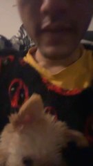 Quels trucs recommandé vous pour Milito et  quel âge vous pensez qu’il a ?