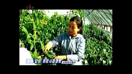 Experiência de fornecimento de várias unidades