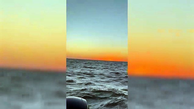 Brazadas contra el olvido: el irlandés que cruzó esta semana el Río de la Plata