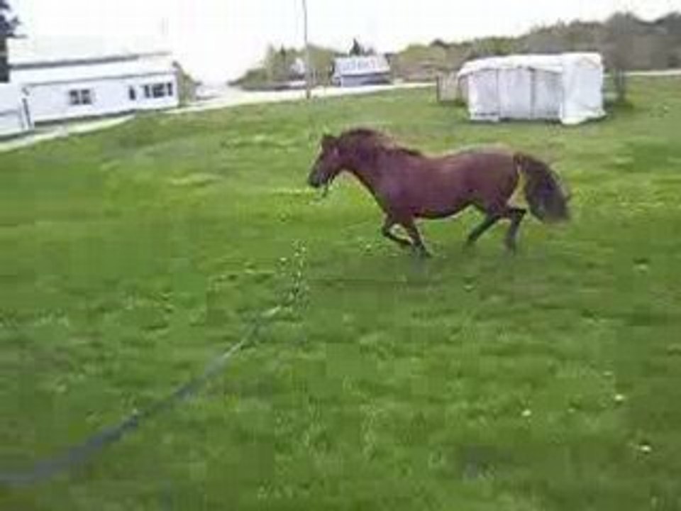 premier saut