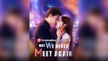 May We Never Meet Again (DUBBED)