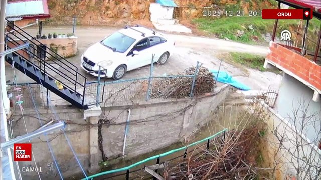 Ordu’da sahipsiz köpeklerin saldırdığı karaca telef oldu