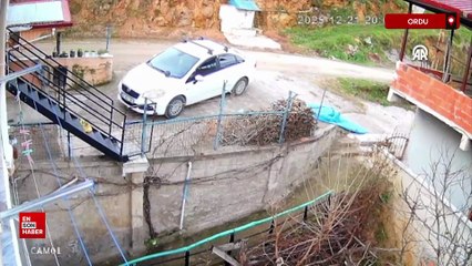 Ordu’da sahipsiz köpeklerin saldırdığı karaca telef oldu