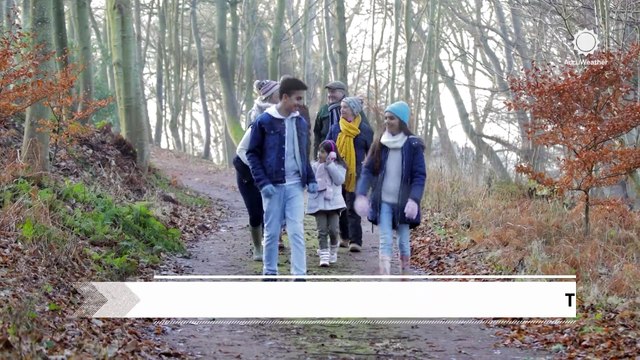 Ticks officially named pest of the year