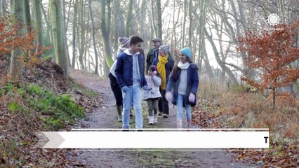 Ticks officially named pest of the year