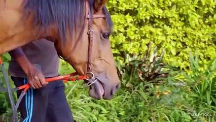 Baddies Africa - Season 1 Episode 16- Saddle Up