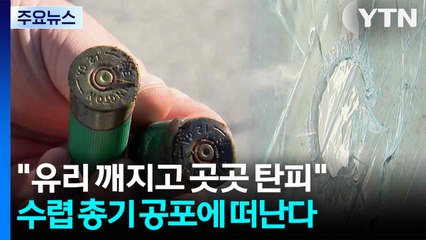 [제보는Y] "유리 깨지고 곳곳에 탄피"...수렵 총기 공포에 주민 떠난다 / YTN