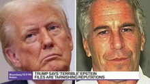 New Epstein Files Say Trump Flew on Jet With Him