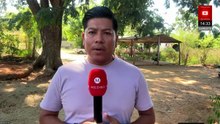 912 contagios y 213 casos por gusano barrenador en más de 80 municipios de Oaxaca