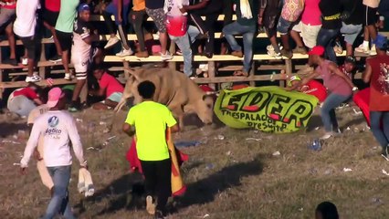 Corralejas El Guamo 2025 | Toros de Garibaldi Hoyos