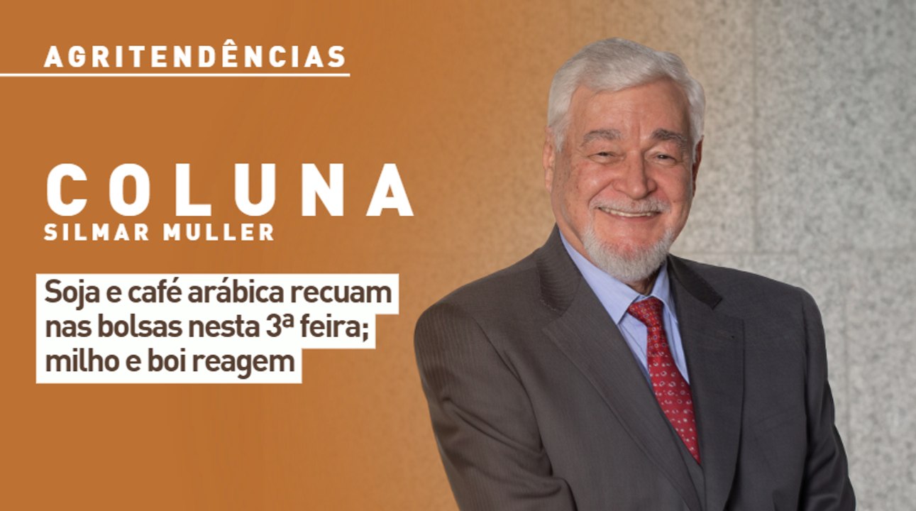 Soja e café arábica recuam nas bolsas nesta 3ª feira; milho e boi reagem