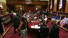 NSW parliament soon to pass Australia's toughest gun laws, crackdown on protests