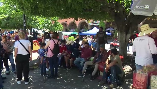 Alcalde de Tequila ofrece disculpa, pero rechaza acusaciones por violencia política de género