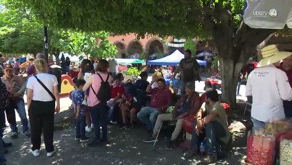 Alcalde de Tequila ofrece disculpa, pero rechaza acusaciones por violencia política de género