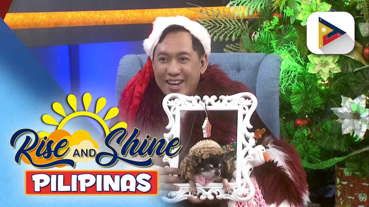 Wednesday Pets' Day: Pet Christmas fashion