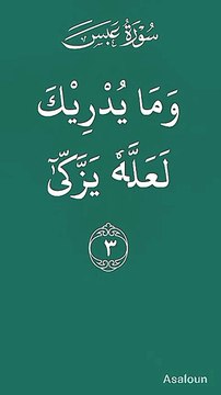 Surah Abasa 1/4 | Surah | Quran | Tilawat | Recitation | Heart Touching | Soothing, Spiritual,Healing