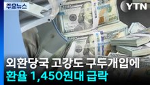 외환당국 고강도 구두개입에...환율 1,450원대 급락 / YTN