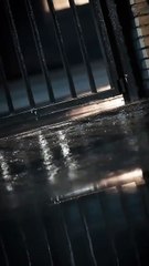 [EngSub] Marriage Withered, Life in Bloom - Full