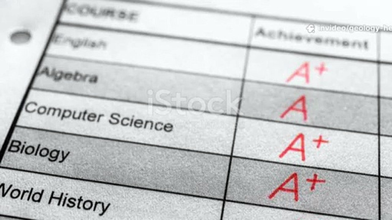 Expert Academic Support for Earth Science Students