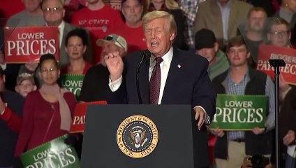 Trump flew on Epstein jet 8 times according to newly released files