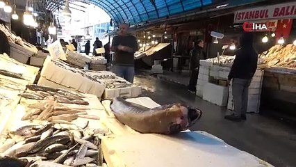 Akdeniz’de 1,5 metrelik Atlas balığı yakalandı